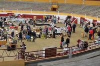 Vide grenier de l'ape