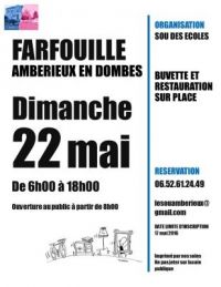 Brocante videgreniers de AMBERIEUX EN DOMBES