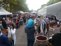 Les Puces de Quintaou