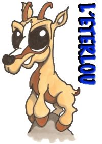 Vide-grenier Eterlou