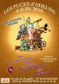 Puces d'Adeliss Saint Barthélémy