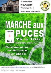 Marché aux Puces Wolfisheim