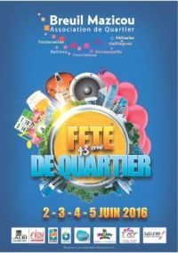 Vide Grenier Fête 2016 Albi