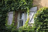 Brocante d'été Fretigny