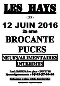 25ème Brocante des Hays