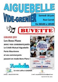 Vide-grenier Aiguebelle