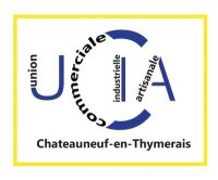 Vide grenier de la fete de la musique Chateauneuf En Thymerais