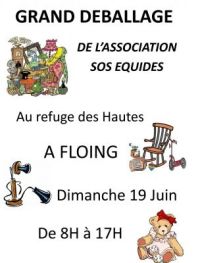 Grand Déballage Floing