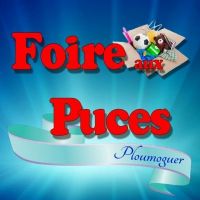 19éme Foire aux Puces de Ploumoguer