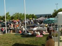 Puces Olonne Sur Mer