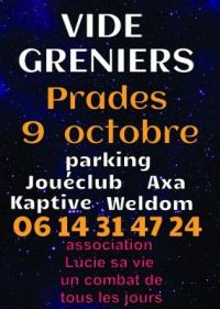 Vide Greniers Asso Lucie sa vie un Combat de Tous les Jours Prades