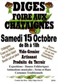 Foire aux Châtaignes - Vide-greniers Diges