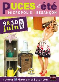 Puces d'été à Micropolis