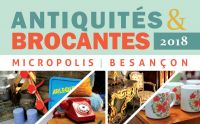 Brocante mensuelle à Micropolis