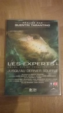 les experts episode spéciale 