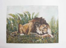 tableau peint lion