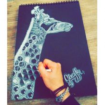 Dessin Giraffe crayon blanc