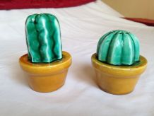Paire salière-poivrière "cactus" barbotine