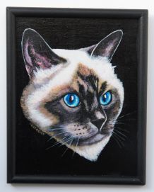 Portrait de chat Birman aux magnifiques yeux bleus.