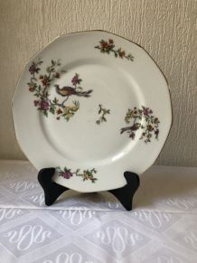 Lot de 5 assiettes en porcelaine « pâtes et émaux de Limoges