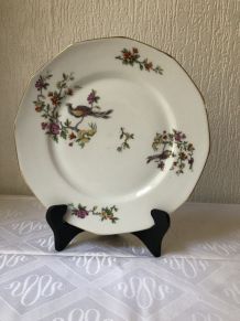 Lot de 5 assiettes en porcelaine « pâtes et émaux de Limoges