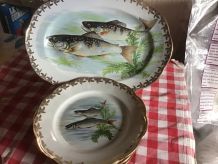 Assiettes + plat Porcelaine