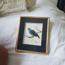 Encadrement oiseau bleu en plumes