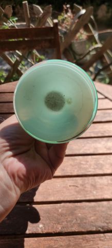 Soliflore en opaline vert d eau 
