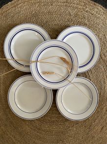 5 assiettes plates aux liserés bleus.