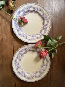 2 assiettes dessert terre de fer décor lavande.
