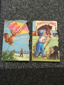 Lot 2 livres anciens pour enfants 