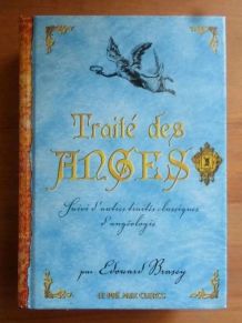 Traité Des Anges de Édouard Brasey