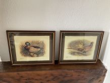 Duo de reproductions d’illustrations oiseaux