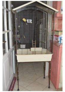 vente cage oiseaux
