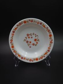 11 assiettes Arcopal Scania