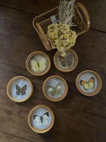 6 sous-verres papillons en rotin.