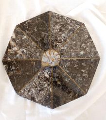 Dessous de plat en pierre et ammonite fossilisée 