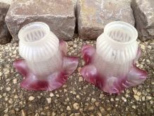 Tulipes pour lampe, vintage