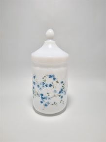 Pot Arcopal Veronica Myosotis