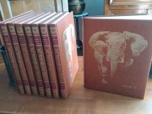 Collection HACHETTE "Les Animaux" - 8 Tomes