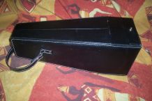 VALISETTE simili-cuir luxe pour transport bouteille champagne vin etc 