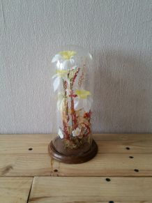 Cloche en verre 