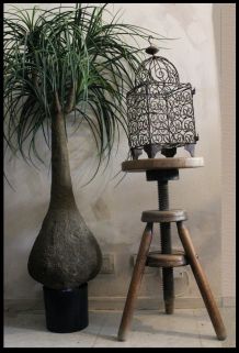 Cage à oiseaux XIXeme siècle