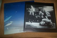 33 TOURS SCORPIONS album blackout  9 titres 