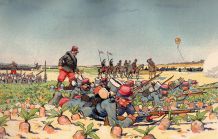 ALBUM 1864 RELIE  7 OUVRAGES