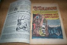 COMICS AMERICAIN NO 1 THE HAUNT OF FEAR HORROR mai 1991 