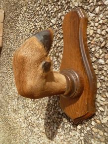 patere , patte  de chevreuil,  vintage