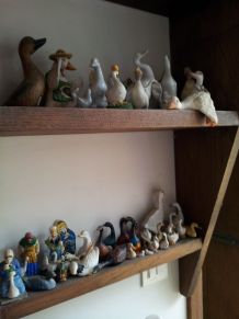 collection oies et canards