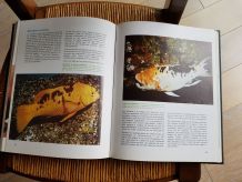 encyclopédie Cousteau