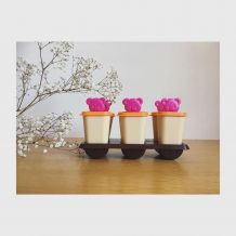 Moule à glace Tupperware 